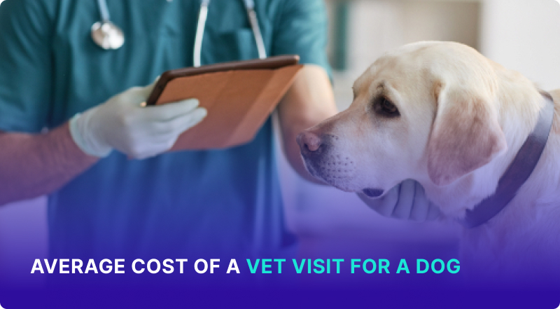 Average Cost of a Vet Visit for a Dog