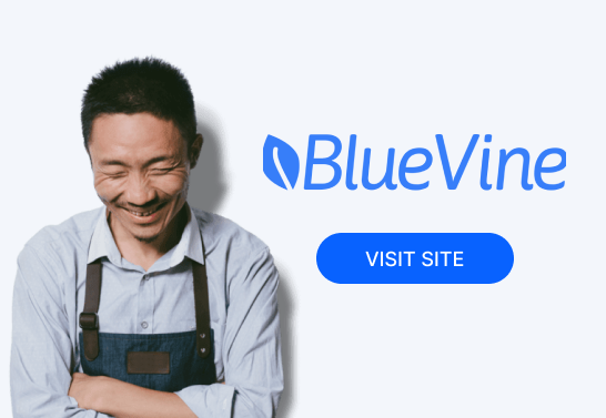 Bluevine Review