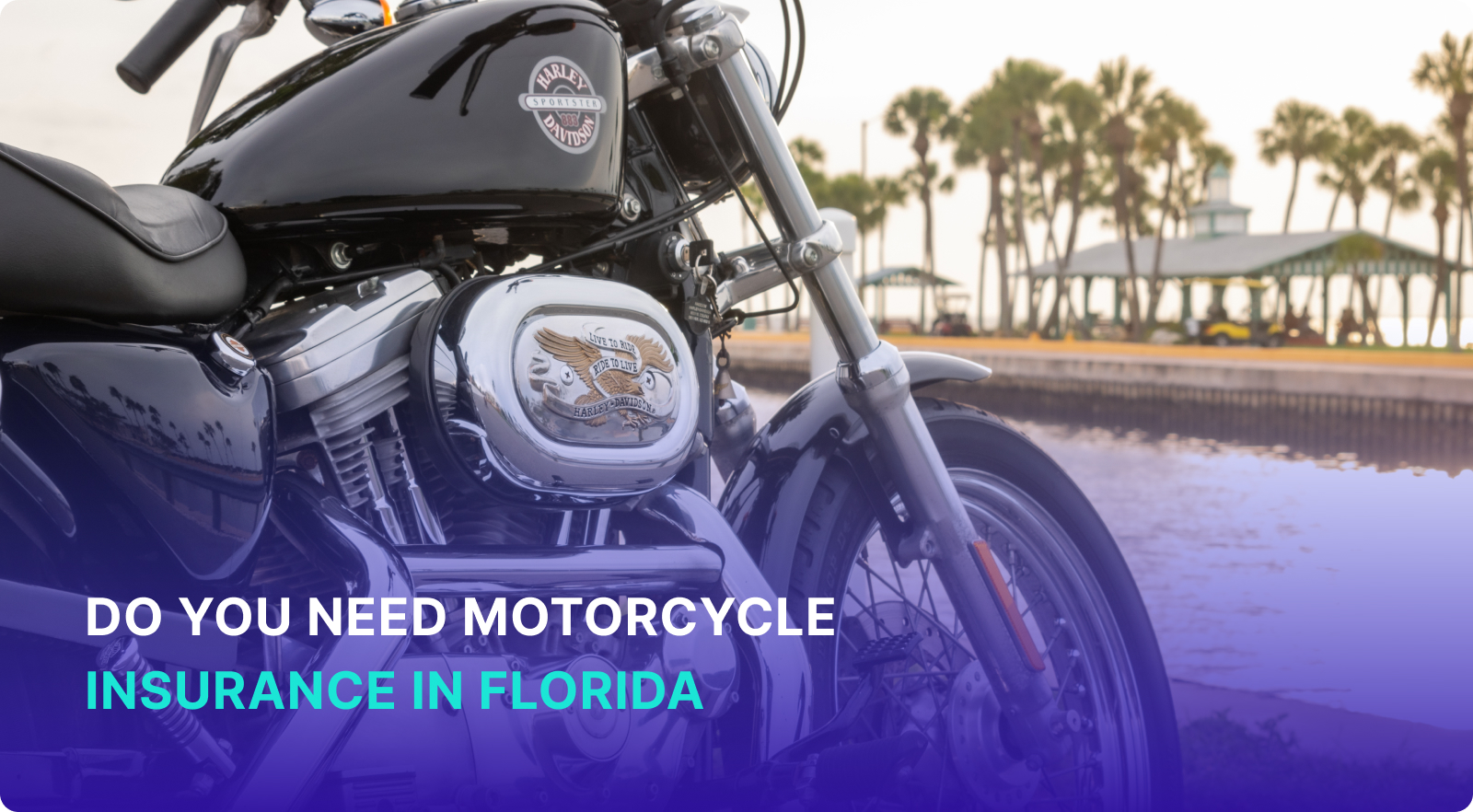 Do You Need Motorcycle Insurance in Florida?