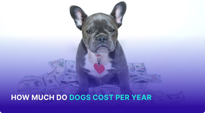 How Much Do Dogs Cost Per Year and Per Month