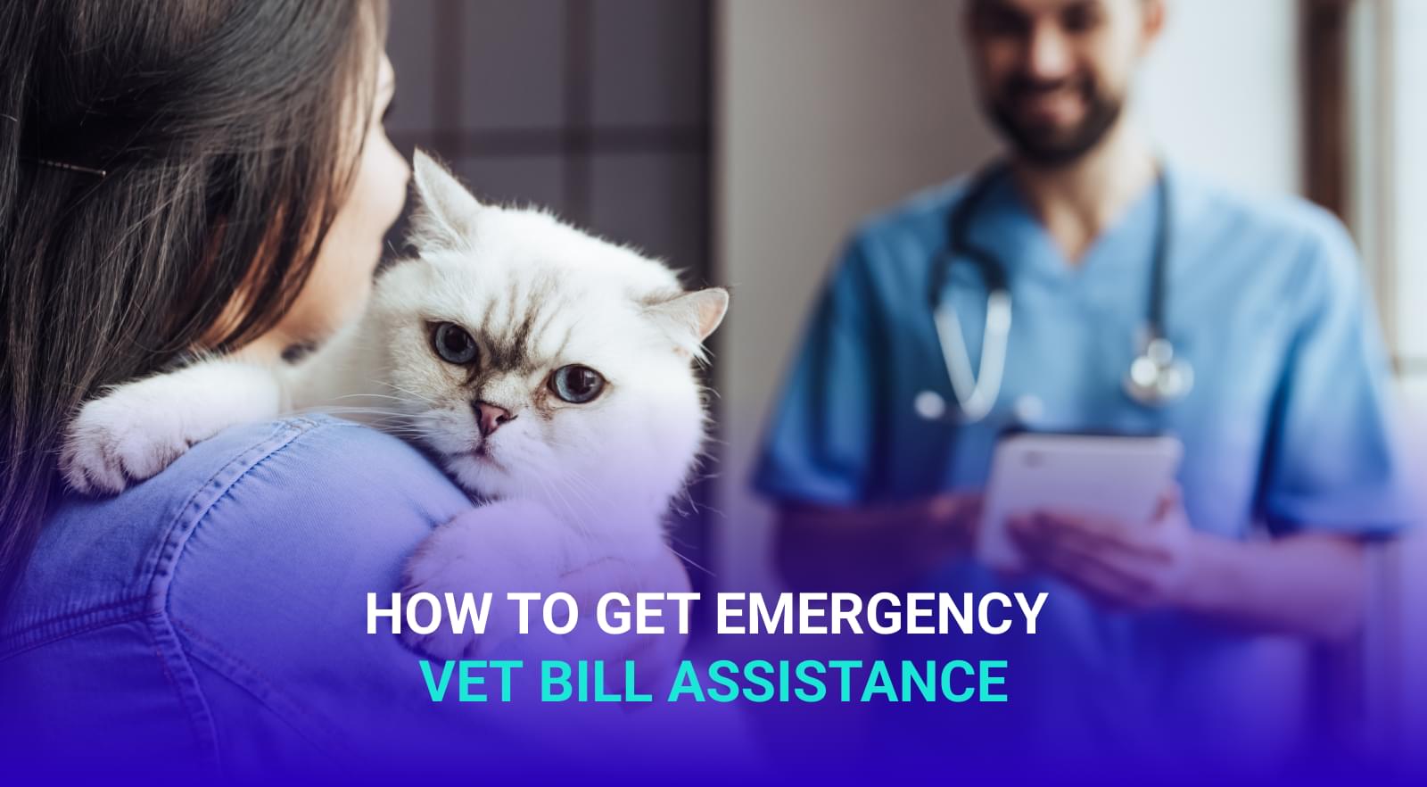 How to Get Emergency Vet Bill Assistance