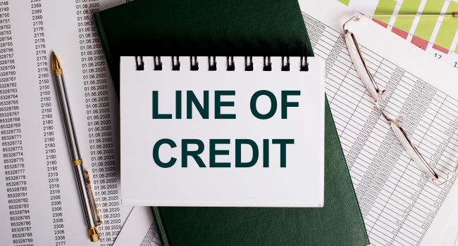 Business Line of Credit (BLOC): What You Need To Know