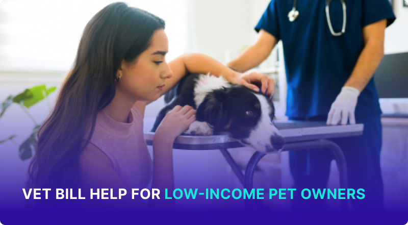 Vet Bill Help for Low Income 