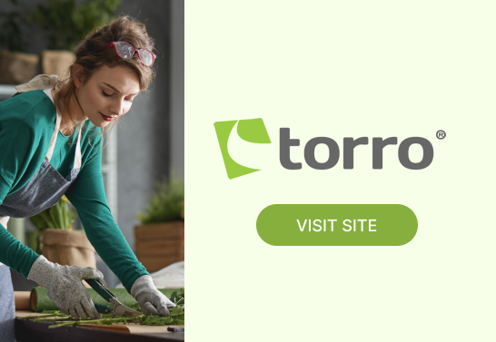 Torro Review